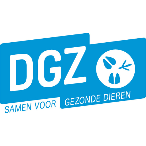 Logo of DGZ in blue with the text 